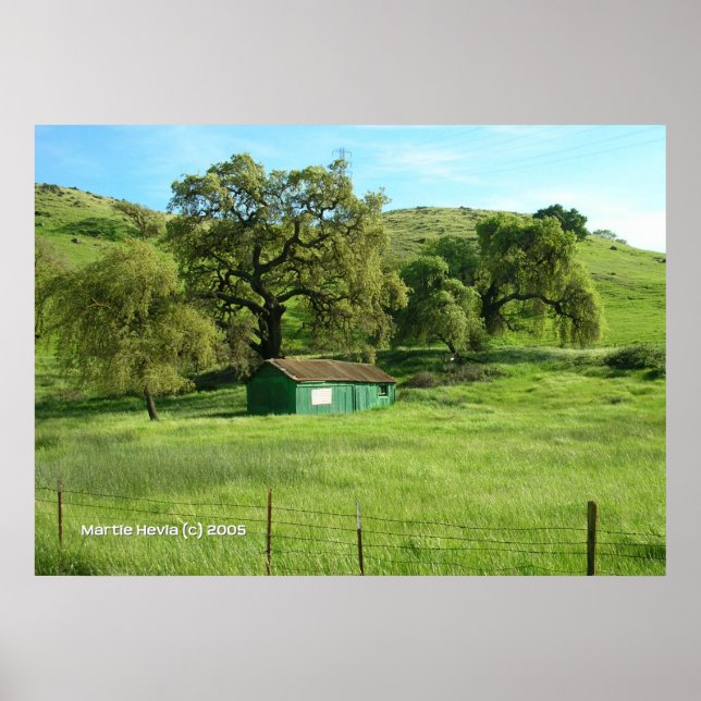 Morgan Backe Meadow Poster (Framsidan)