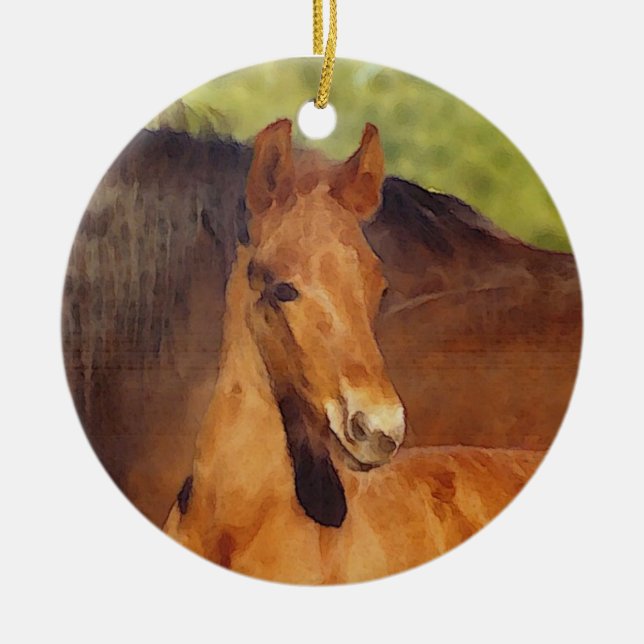Morgan foal ornament (Framsidan)