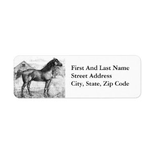Morgan Horse 1888 Vintage Teckning rasart Returadress Etikett