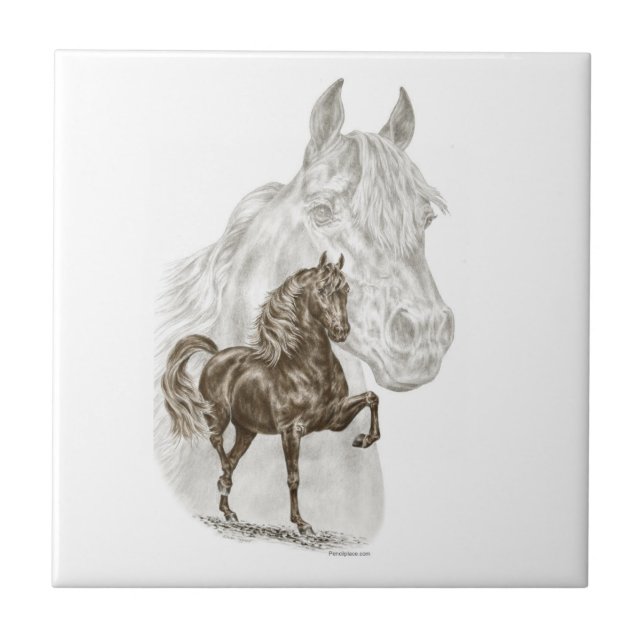 Morgan Horse Art Kakelplatta (Framsidan)