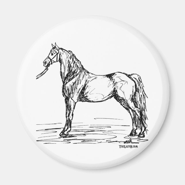 Morgan Horse Simple Sketch Magnet (Framsidan)