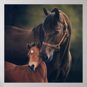 Morgan Mare och Foal av Lynn Peterson Poster