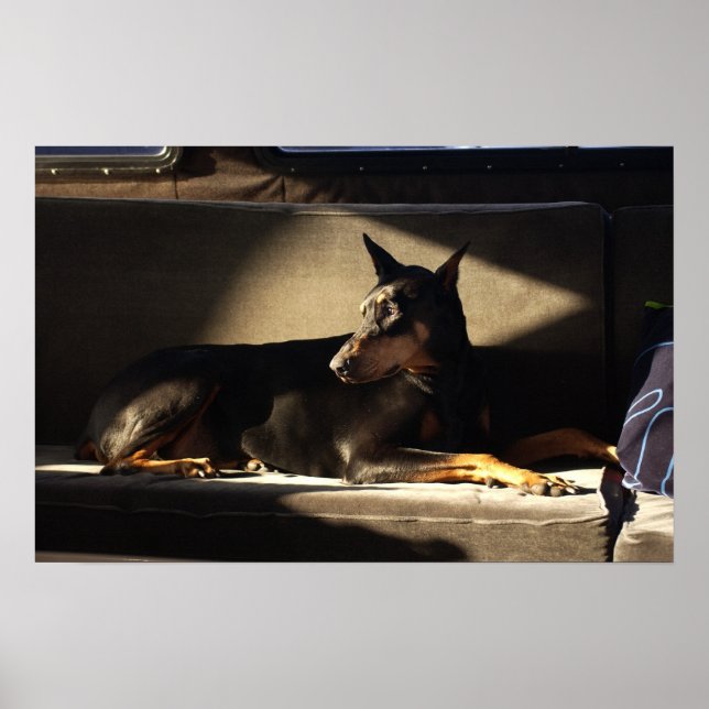 Morgan Poster (Framsidan)