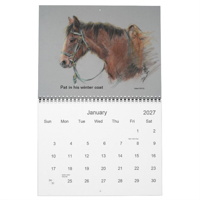 Morgan Ranch Horses of Point Reyes Nat'l Seashore Kalender (Jan 2027)