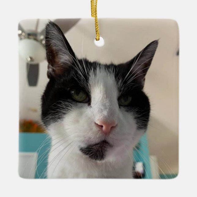 Morgan's Ornament (Framsida)