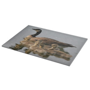 Morgås och henne Goslings