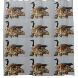 Morgås och henne Goslings