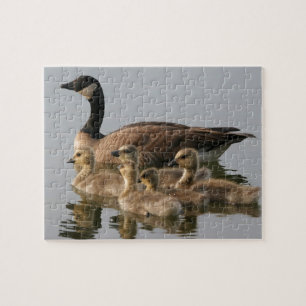 Morgås och henne Goslings Pussel