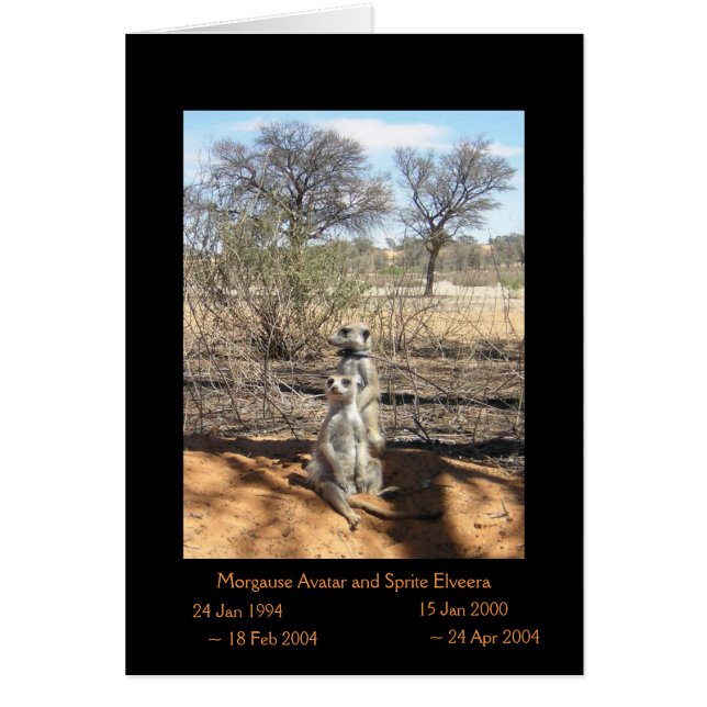 Morgause och älva - legendkort hälsningskort (Framsidan)