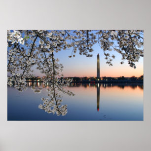 Morgon för Washington monumentvår Poster