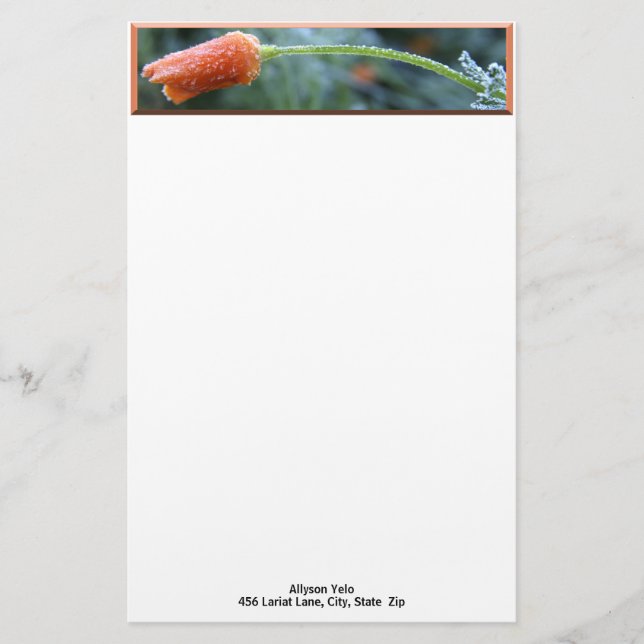 Morgon Frost California Poppy Photo Anpassningsbar Brevpapper (Framsida)