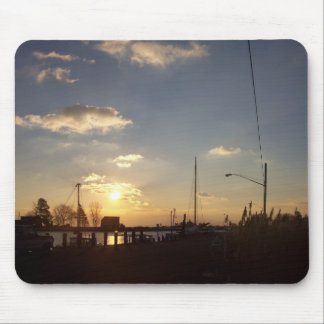 Morgon i Maryland den östliga kusten Musmatta