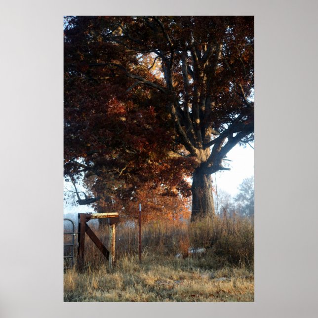 Morgon i Tennessee Poster (Framsidan)