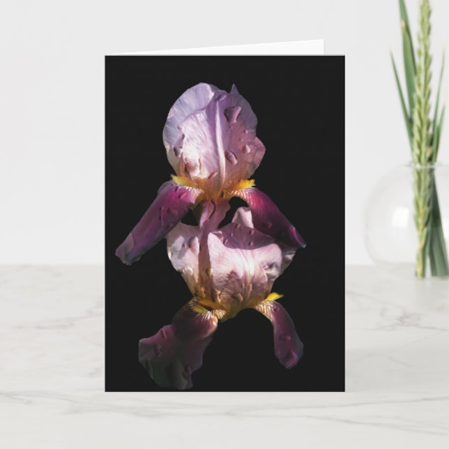 Morgon Iris Kort (Framsida)