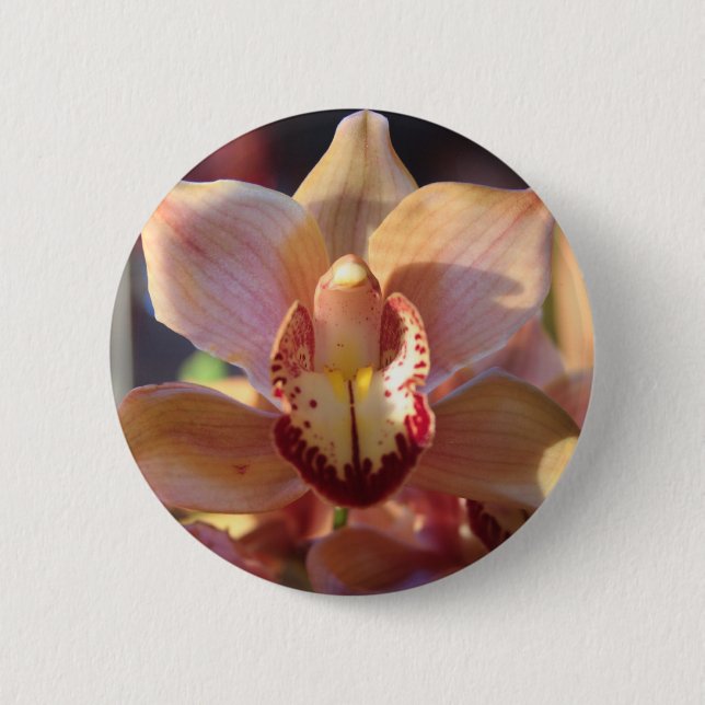 Morgon Orchid Knapp (Framsida)