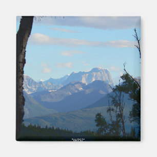 Morgon på älg tandmagneten magnet