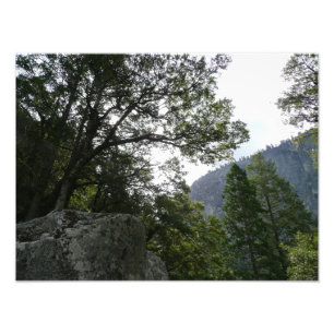 Morgon på leden till Vernal Falls i Yosemite Fototryck
