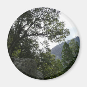 Morgon på leden till Vernal Falls i Yosemite Magnet