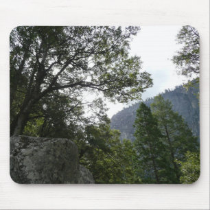 Morgon på leden till Vernal Falls i Yosemite Musmatta