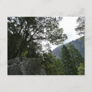 Morgon på leden till Vernal Falls i Yosemite Vykort