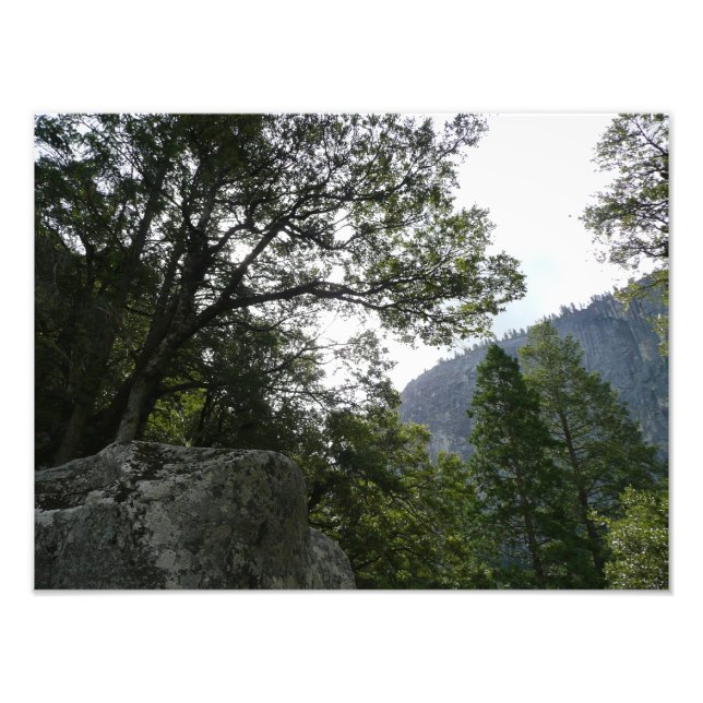 Morgon på spåret till Vernal Falls i Yosemite Fototryck (Framsidan)