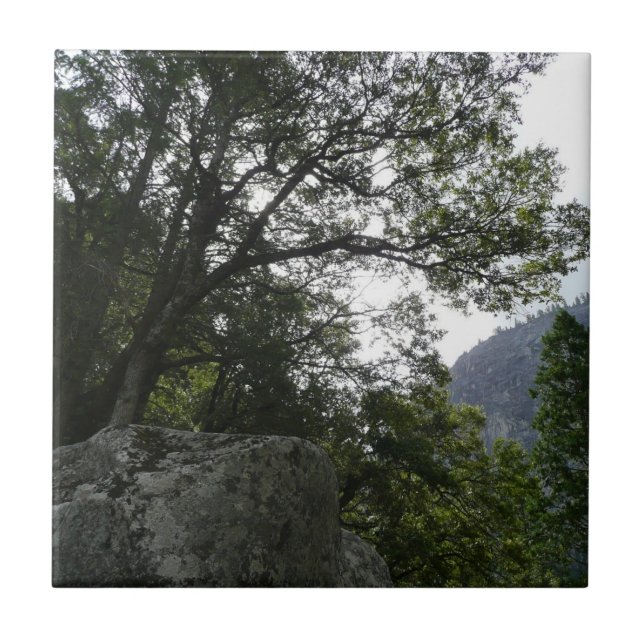 Morgon på spåret till Vernal Falls i Yosemite Kakelplatta (Framsidan)