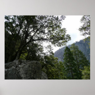 Morgon på stigen till Vernal Falls i Yosemite Poster