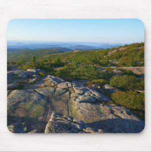 Morgon på toppen av Cadillac Mountain i Acadia Musmatta