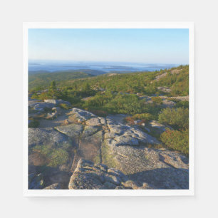 Morgon på toppen av Cadillac Mountain i Acadia Pappersservett
