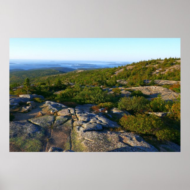Morgon på toppen av Cadillac Mountain i Acadia Poster (Framsidan)