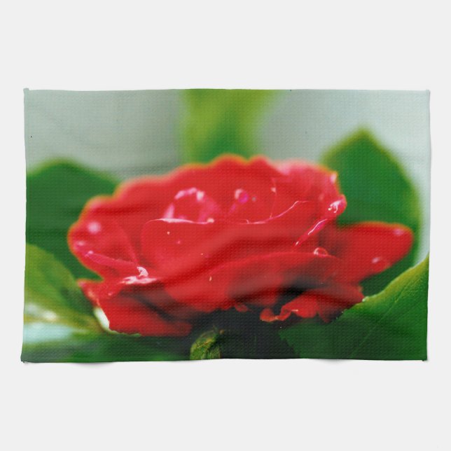 Morgon röd ros täckt med daggdroppar kökshandduk (Horisontell)