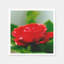 Morgon röd ros täckt med daggdroppar Napkins Pappersservett