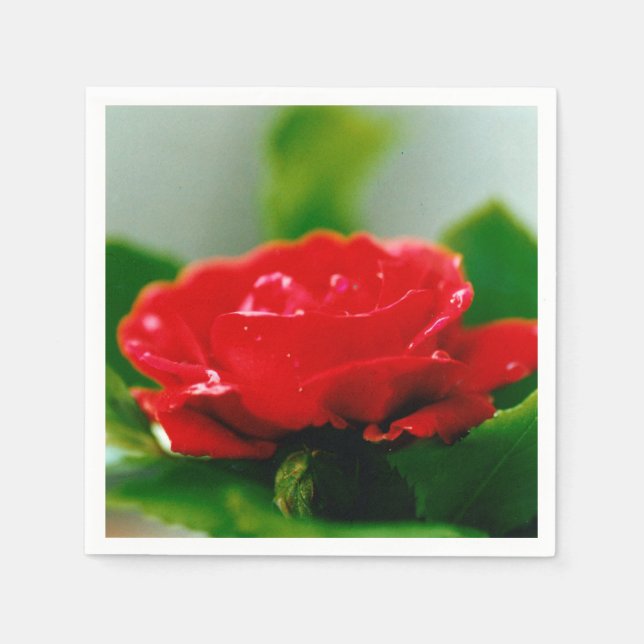 Morgon röd ros täckt med daggdroppar Napkins Pappersservett (Framsidan)