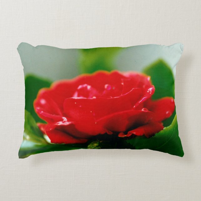 Morgon röd ros täckt med daggdroppar prydnadskudde (Framsidan)