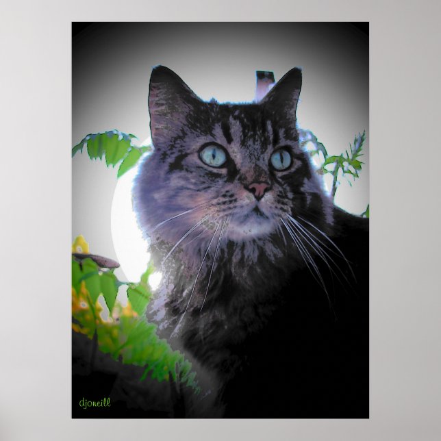 Morgon sol är uppe poster (Framsidan)