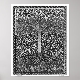Morgon Träd Poster
