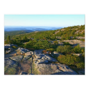 Morgonatop Cadillac Mountain i Acadia Fototryck