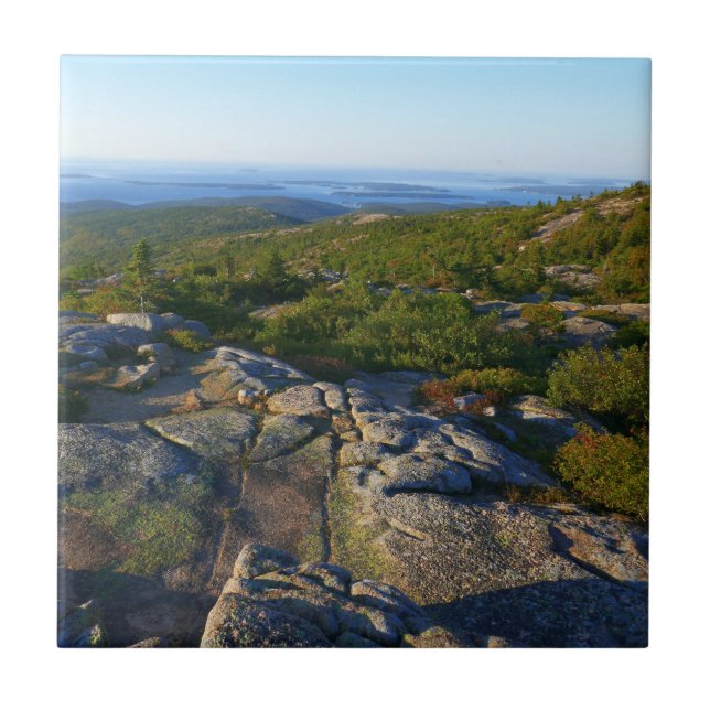 Morgonatop Cadillac Mountain i Acadia Kakelplatta (Framsidan)