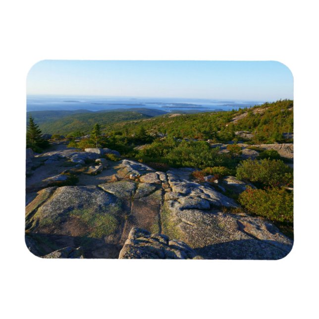 Morgonatop Cadillac Mountain i Acadia Magnet (Horisontell)