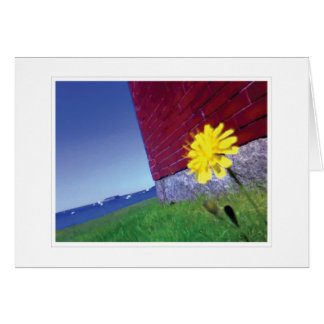 Morgondag önskemål OBS kort