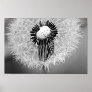 Morgondagens utsäde poster