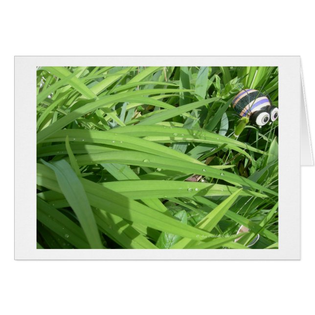 Morgondagg Hälsningskort (Framsidan Horizontal)