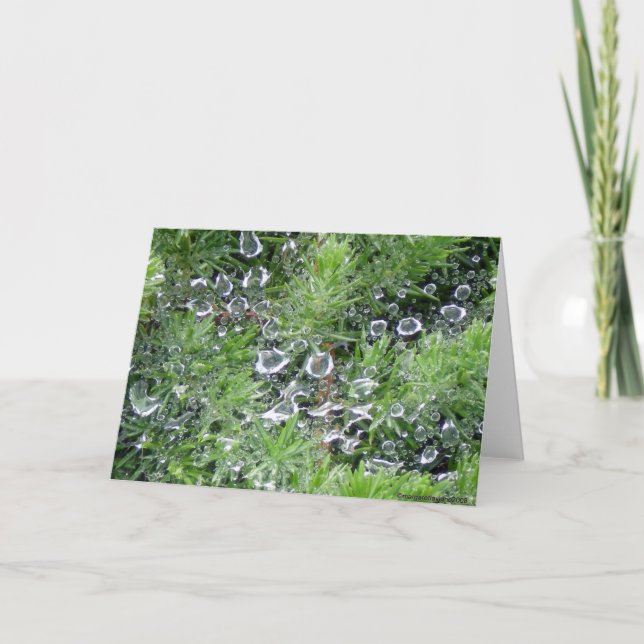 Morgondagg Kort (Framsida)