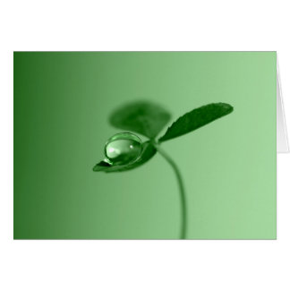 Morgondagg tappar hälsningskort