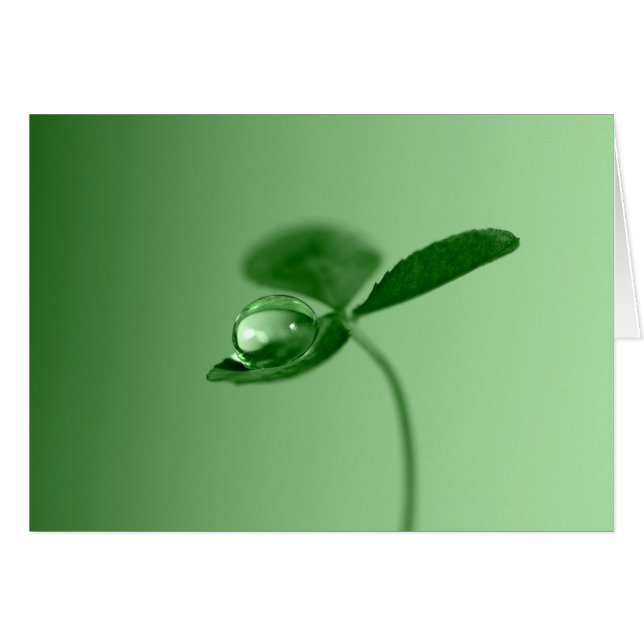 Morgondagg tappar hälsningskort (Framsidan Horizontal)