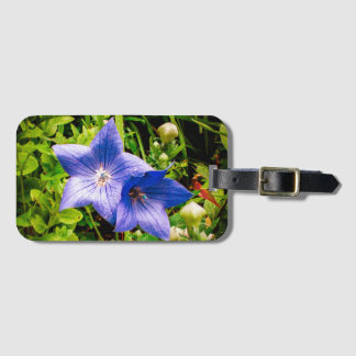 Morgondagg tappar på en ballongblomma bagagebricka