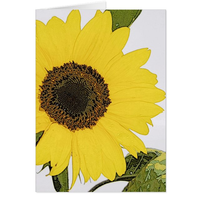 Morgondaggsolros OBS Kort (Framsidan)