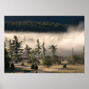 Morgondimma i Adirondacks 4 Poster