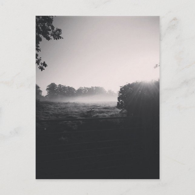 Morgondimma och låg sol vid fält när droppib vykort (Framsida)