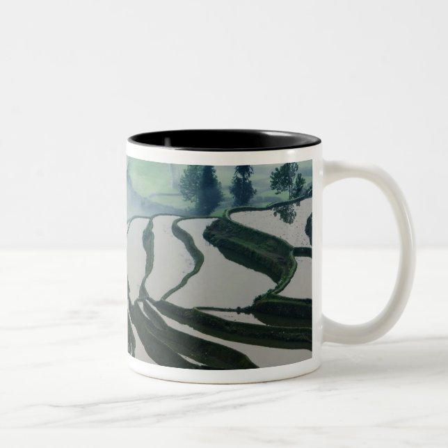Morgondimma ovanför risfält Två-Tonad mugg (Höger)